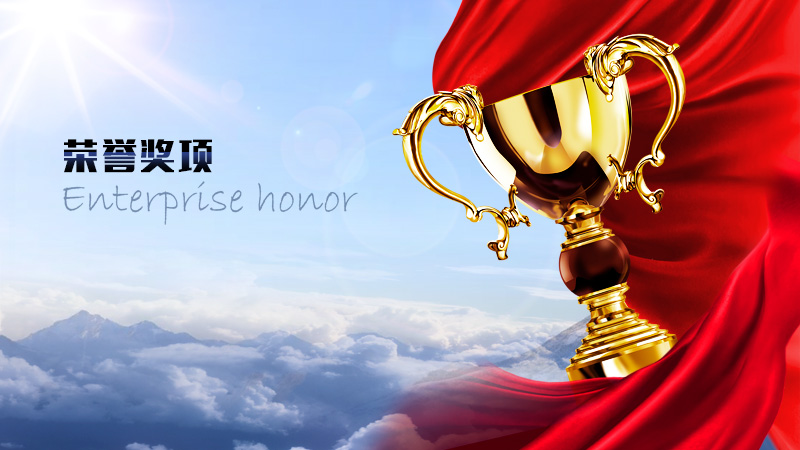 Qualifications and honors